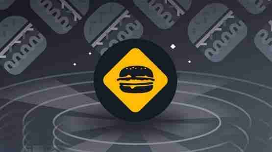 BURGER是什么币种？一文搞清楚BURGER币发展前景